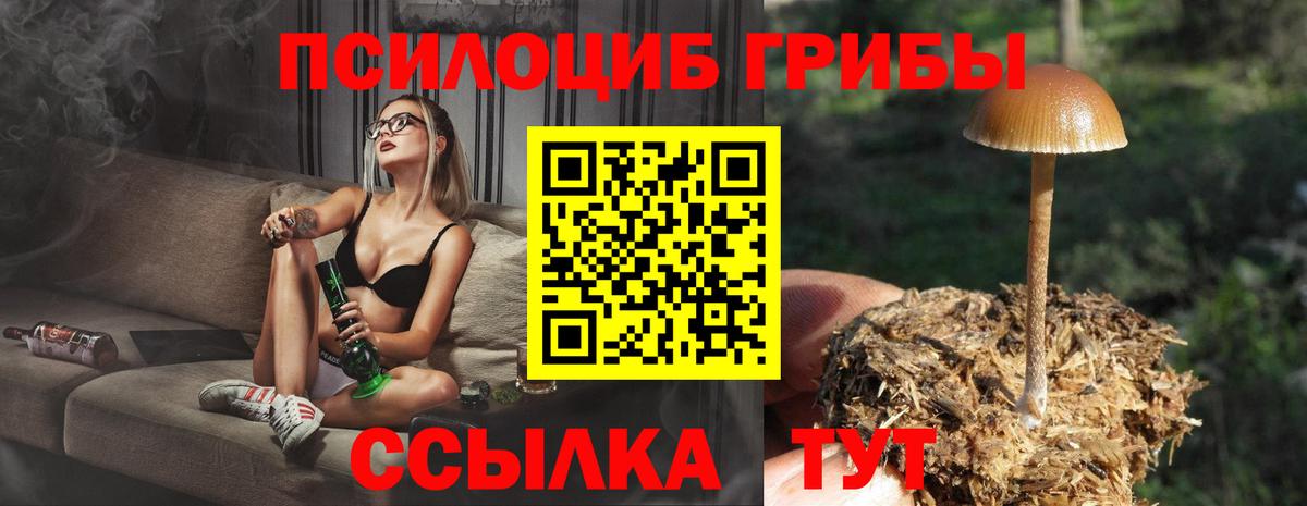 Ефремов  Галлюциногенные грибы ЛСД  Вход с VPN 